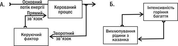 Рис. I-6.1. Пояснення поняття зворотного зв'язку. А. Прямий і зворотний зв'язок. Б. Приклад (небіологічний!) зворотного зв'язку Виділяють два типи зворотних зв'язків. Позитивні зворотні зв'язки посилюють відхилення керованої величини від вихідного