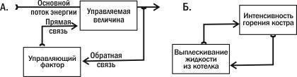 Рис. 1.7.1. Пояснення поняття зворотного зв’язку. А. Прямі та зворотні зв’язки. Б. Приклад зворотного зв’язкуВиділяють два типи зворотних зв’язків. Позитивні зворотні зв’язки посилюють відхилення керованої величини від вихідного стану, а негативні