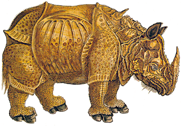 GesnersRhinoceras