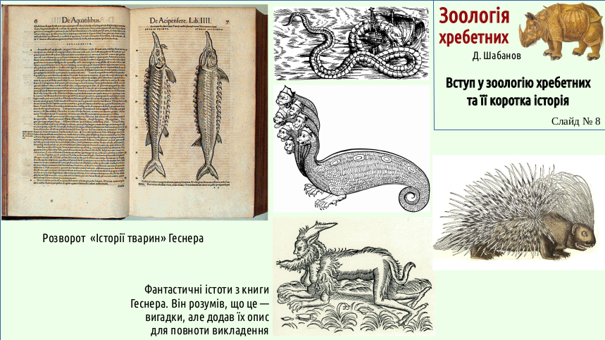 Zoo 01 Zoology 08