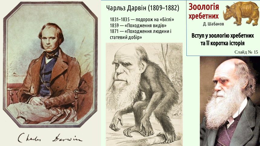 Zoo 01 Zoology 15