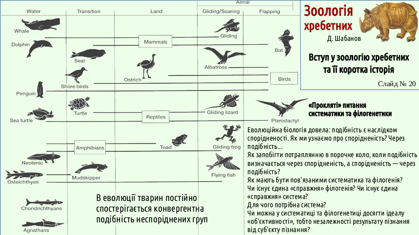 Zoo 01 Zoology 20