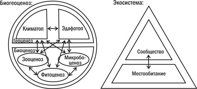 Рис. 3.1.1. Порівняння складу біогеоценозу й екосистемиРозвиваючи підхід Тенслі, ми можемо сказати, що екосистема — це сукупність живих організмів і середовища їхнього існування, у межах якої здійснюються колообіг речовин і перетворення потоку енер