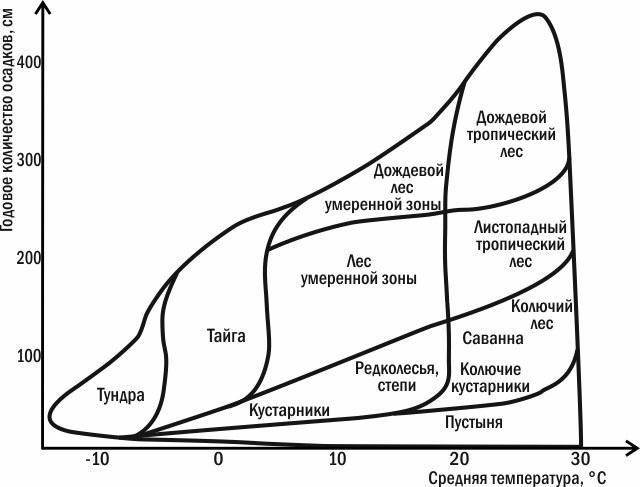 Рис. 3.4.1. Розподіл деяких наземних біомів залежно від кількості опадів і температуриБіоми мають певну цілісність. Наприклад, між зонами листопадних лісів і степів розташована лісостепова зона, де «зустрічаються» біоми лісу і степу. За існуючого к