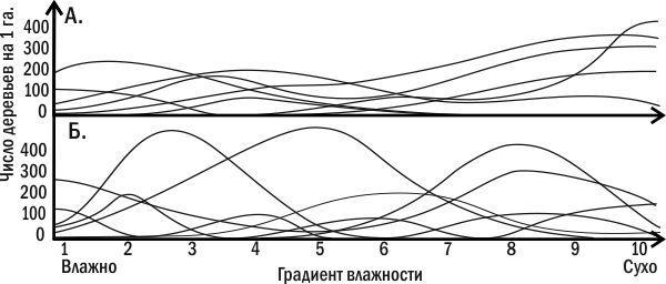 Рис. 3.10.2. Фактичні криві поширення різних видів дерев залежно від градієнта вологості. Зареєстровані криві не відповідають жодному з теоретичних варіантів, показаних на рис. 3.10.1«На гніздовій території пари великих строкатих дятлів (Dendrocopos