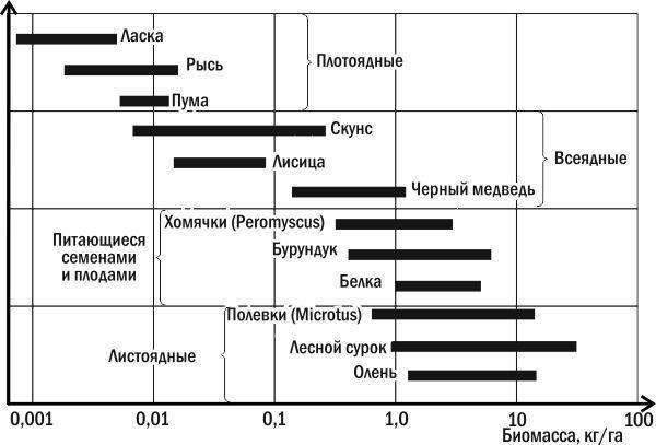 Рис. 3.13.4. Біомаса кількох видів ссавців північноамериканського листопадного лісуЯк ви зрозуміли, екологічні піраміди не можуть бути дуже високими, тому що при переході з рівня на рівень частина енергії втрачається. Однак різні організми втрачають