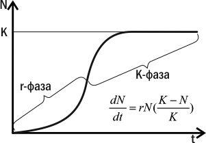 Fig. IV-15.2. r‑ and K‑phases of population growth according to the logistic modelIt can be assumed that populations of some species spend most of their time in the r‑phase. In such species, the highest reproductive value belongs to individuals capab