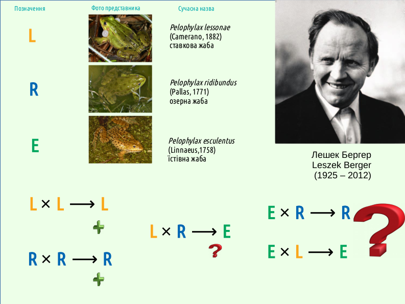 Eco I What is ecology 17