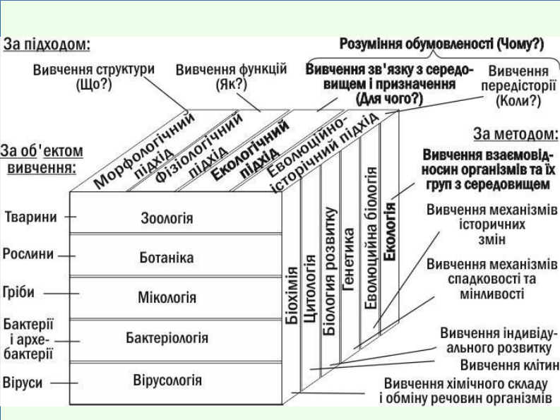 Eco I What is ecology 25