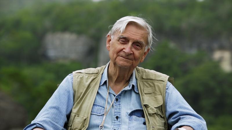e o wilson