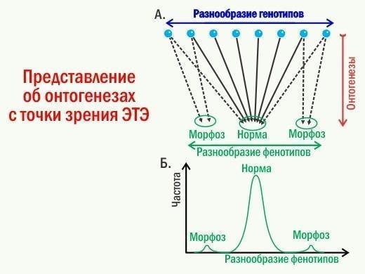 ete 25