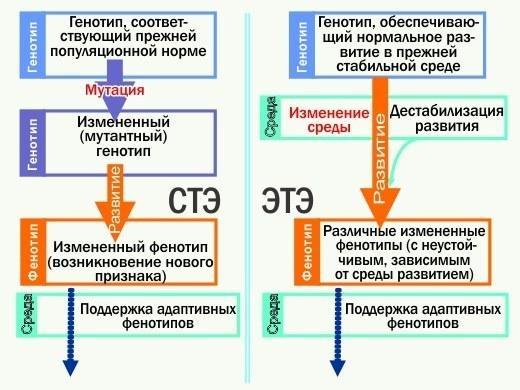 ete 34