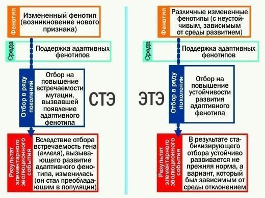 ete 35