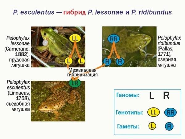 ek lec 02