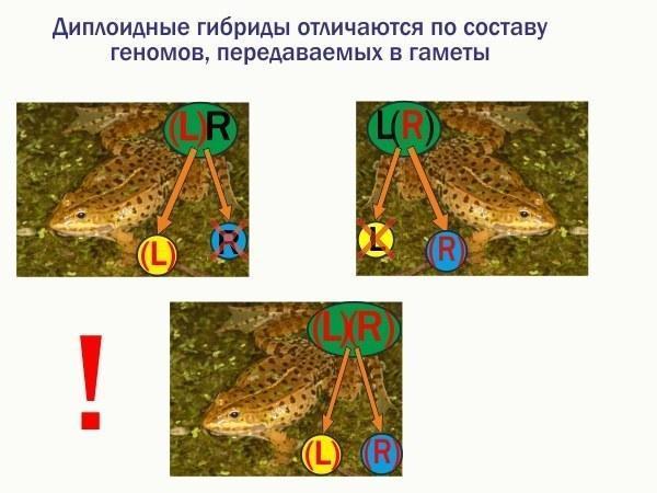 ek lec 12