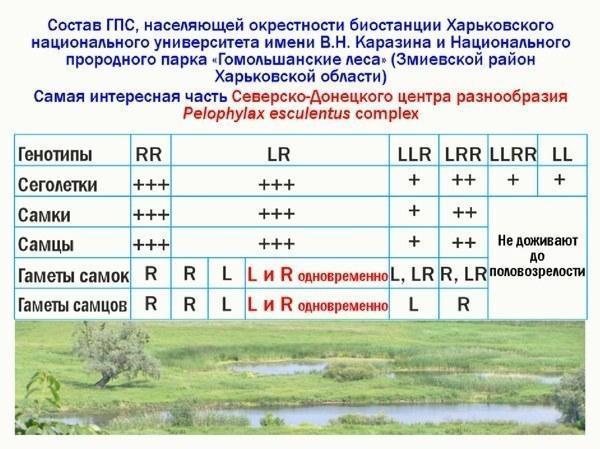 ek lec 19