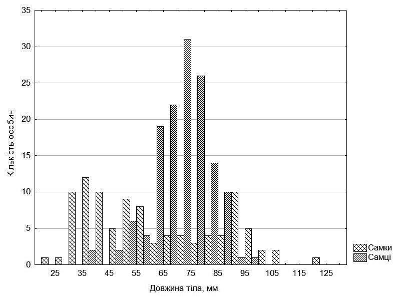 Fig. 2. Size distribution of examined individuals