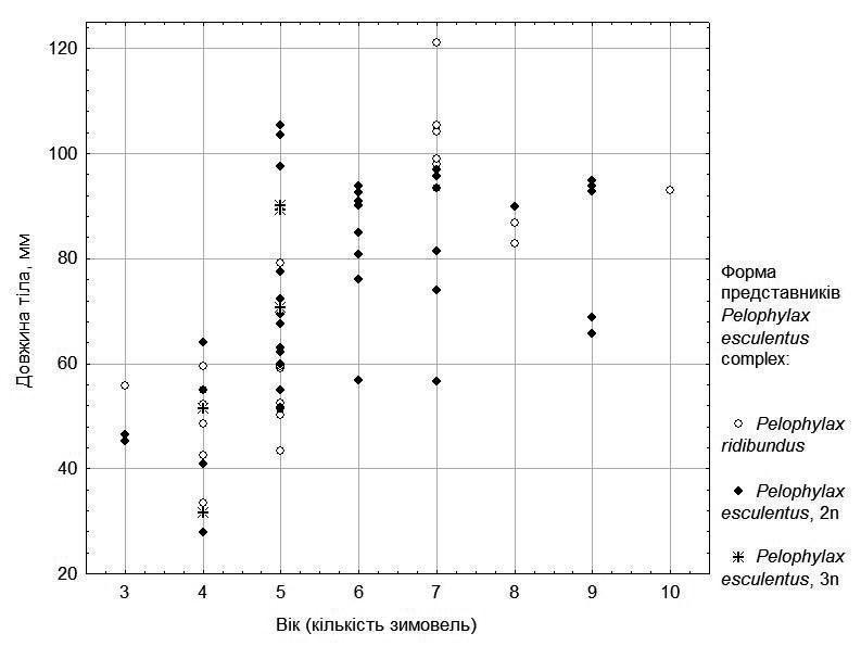 Fig. 3. Size-to-age relationship for females from five ponds in the environs of NPP "Homilshansky Forests"