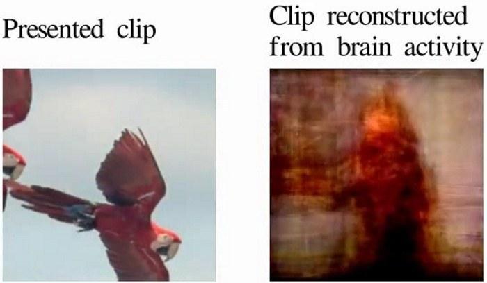 clip