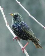 image070