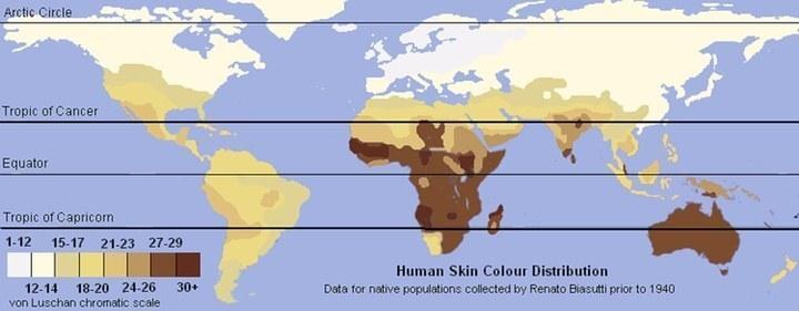 skin color map