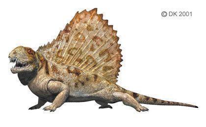 theromorpha dimetrodon