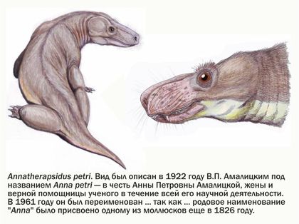theromorpha annatherapsidus etri