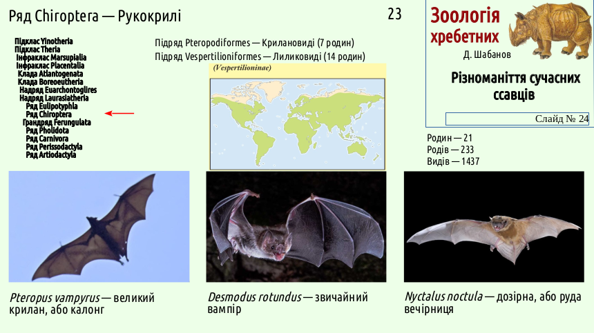 mammal systematics 24
