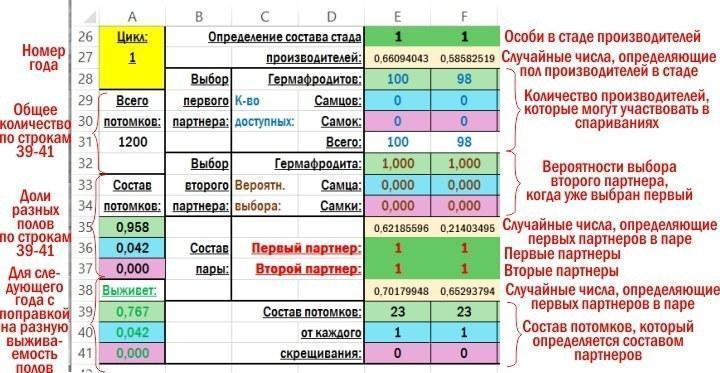 calculations