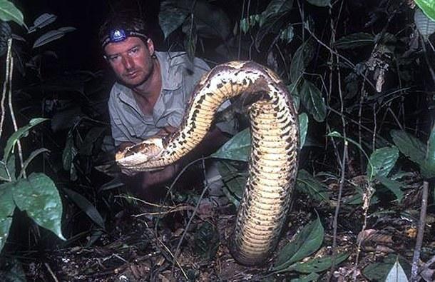 oph1 24