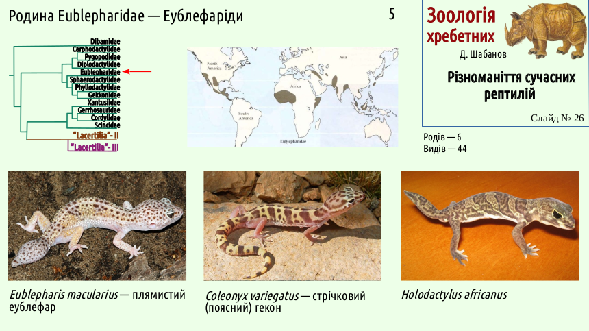 reptilian systematics 26