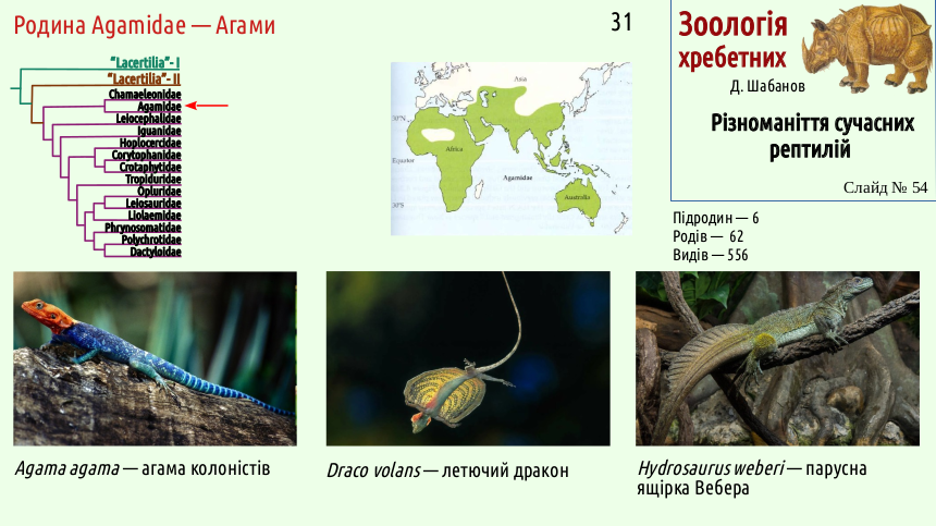 reptilian systematics 54