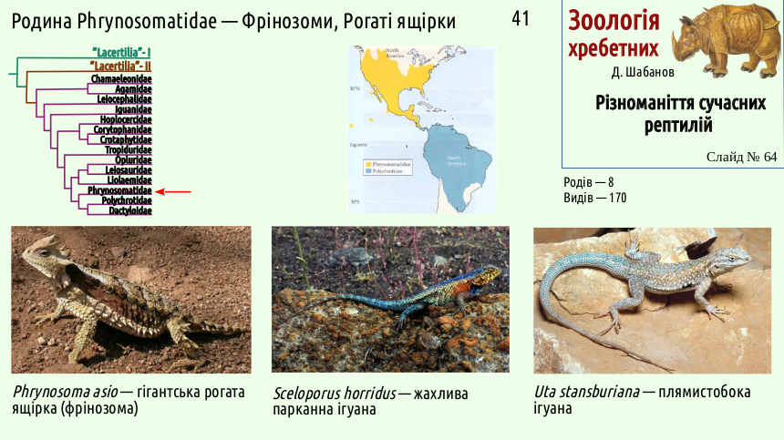 reptilian systematics 64
