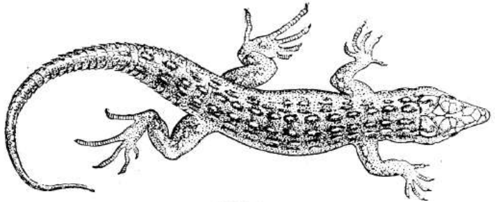 erem