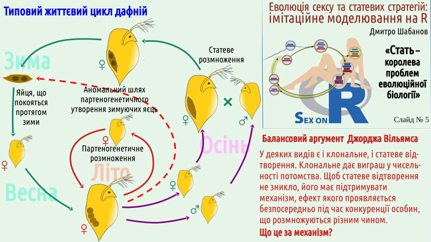 sex 05