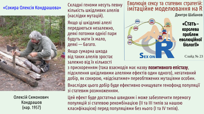 sex 23