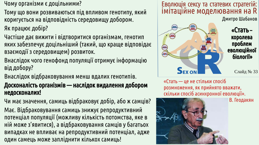 sex 33