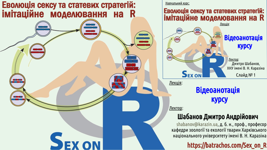 Sex%20or%20R Annotation 2023 1