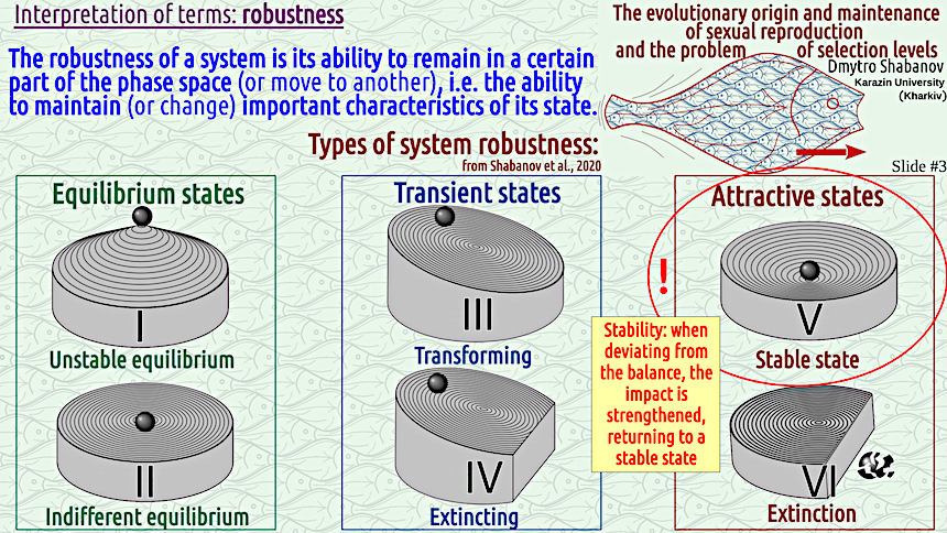 shabanov evoschool 03 result