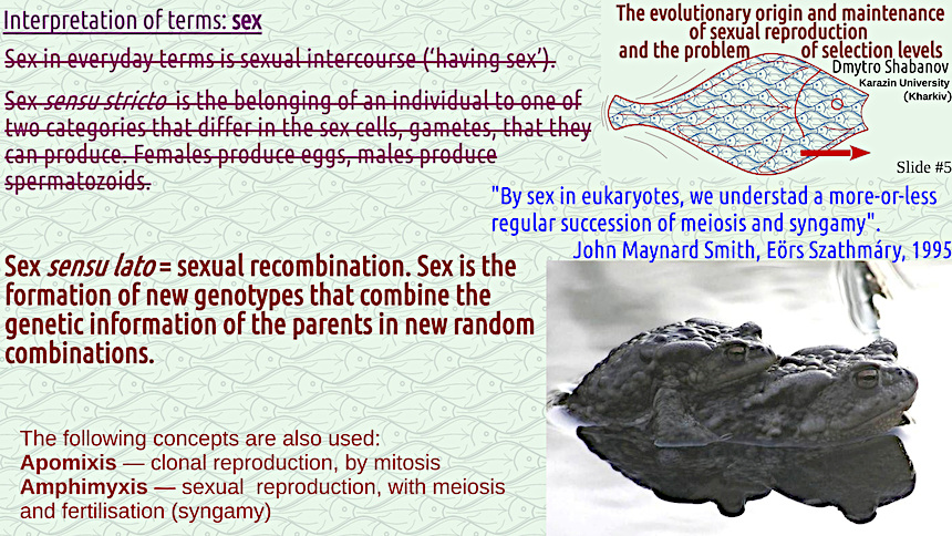 shabanov evoschool 05 result