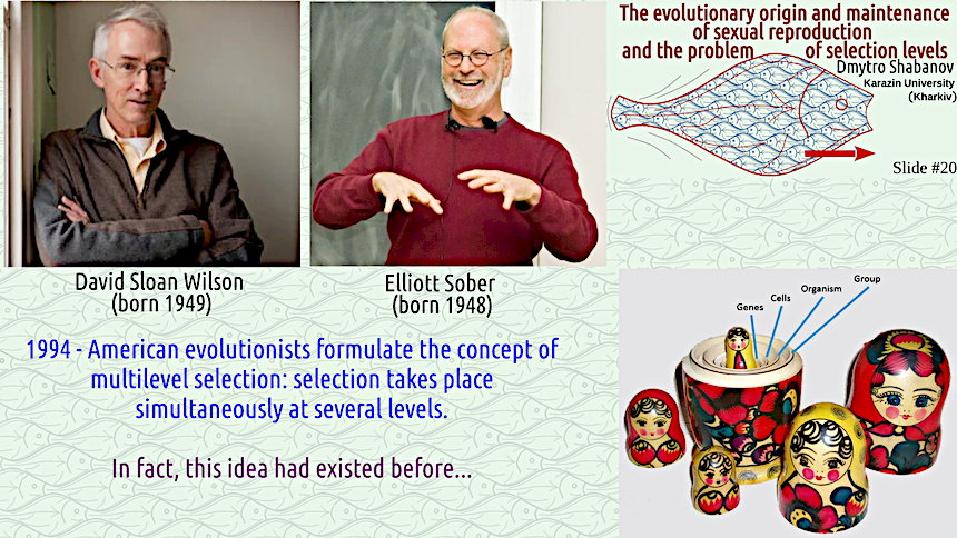 shabanov evoschool 20 result