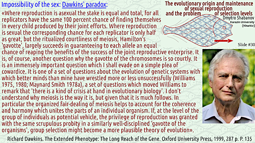 shabanov evoschool 30 result