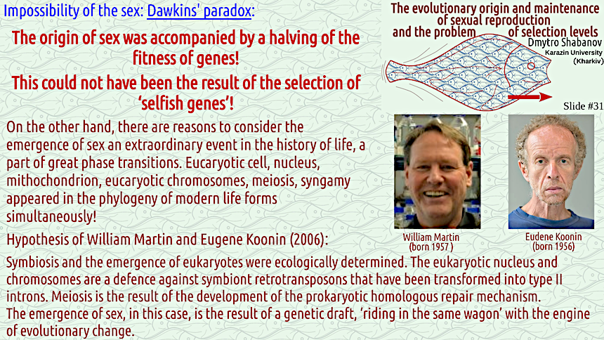 shabanov evoschool 31 result